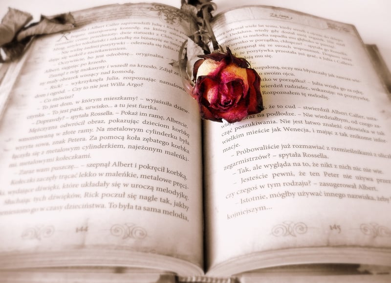 Vintage Book Planters